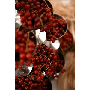 Креманка металлическая "Джоу" 