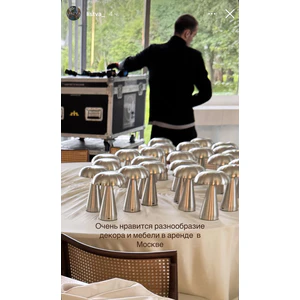 Led светильник «Боле» серебряный