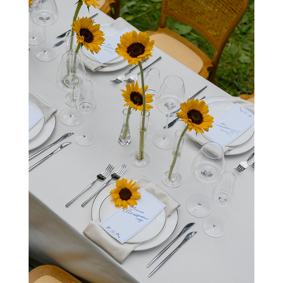 Набор «Регино» глянцевое серебро из двух предметов - Фото миниатюра 2