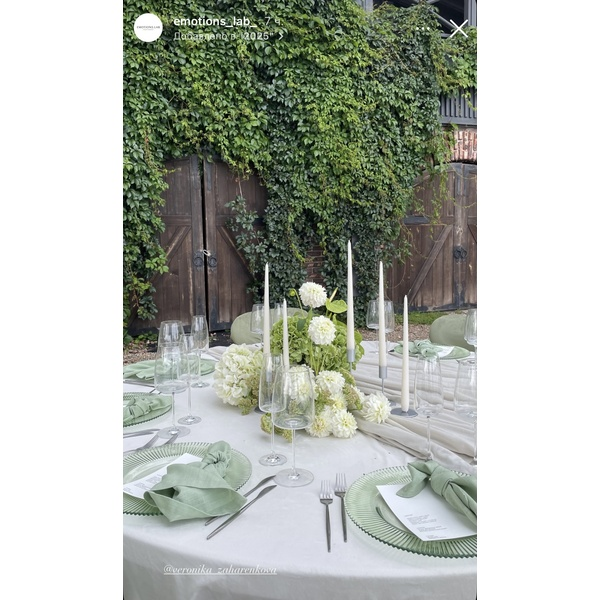 Стул «Тотем» серебряный, пыльно-зеленый бархат - Фото 4