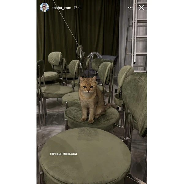 Стул «Тотем» серебряный, пыльно-зеленый бархат - Фото 2