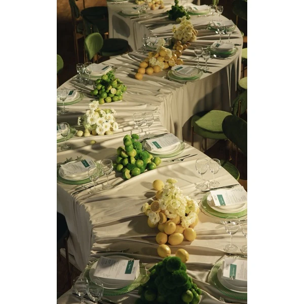 Подстановочная тарелка «Элва» олива