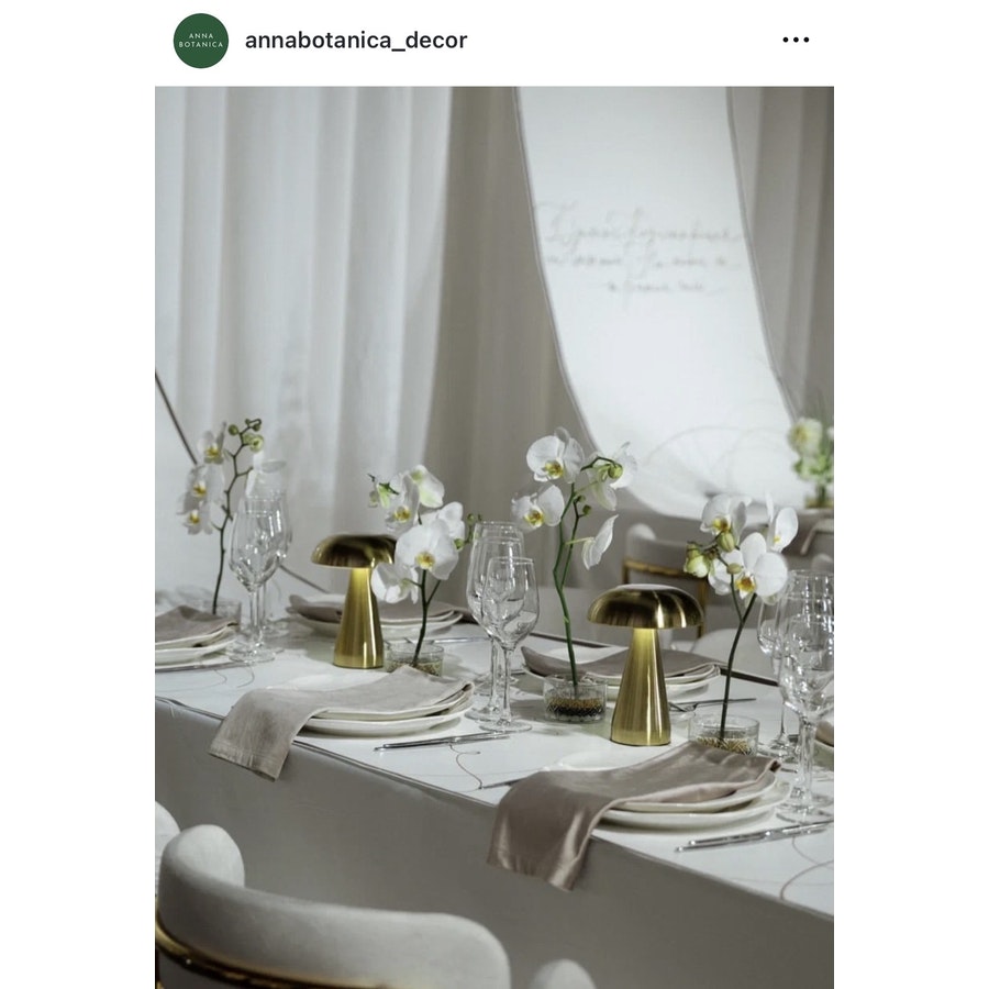 Led светильник «Боле» золотой - Фото миниатюра 2