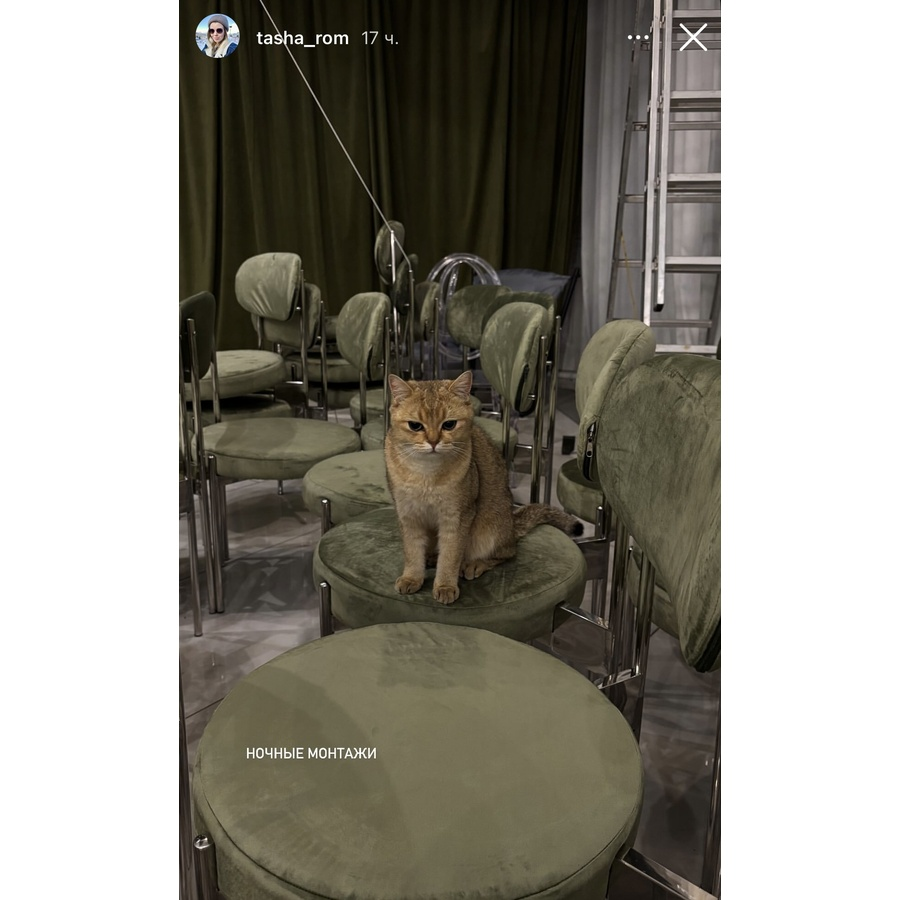 Стул «Тотем» серебряный, пыльно-зеленый бархат - Фото миниатюра 2