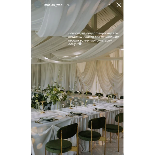 Стул «Тотем» золотой, мшистый бархат - Фото 2