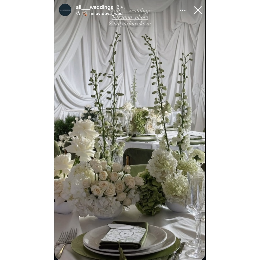 Подстановочная тарелка «Фере» зеленая - Фото миниатюра 2