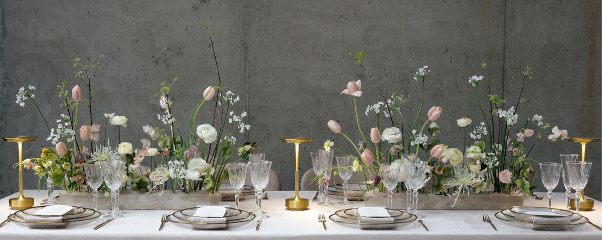 Баннер 1 от Кьявари