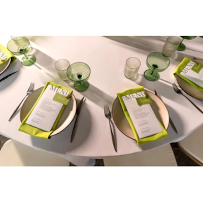 Салфетка из смесового льна, Лайм ВайкулЭ - изображение 5