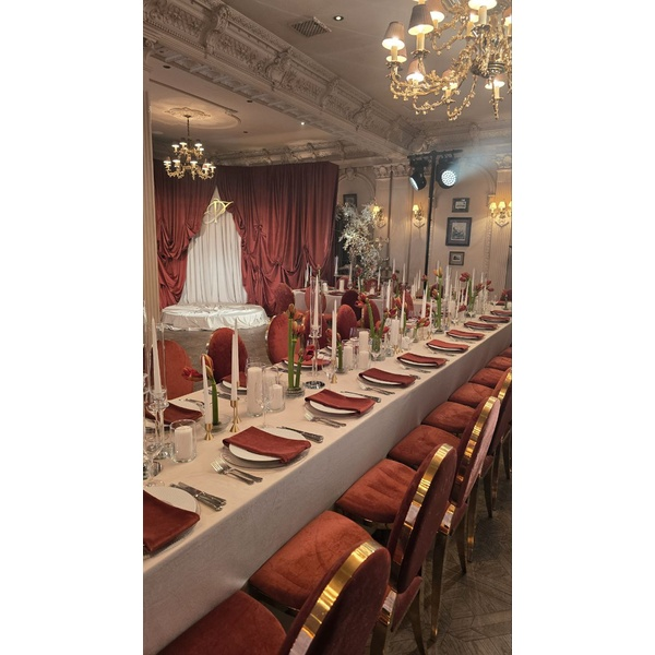 Стул Вашингтон Золото, велюр терракотовый - Фото 7