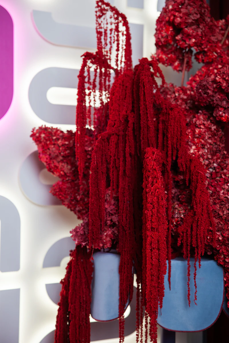 Комплект Стол "Да,капитан" Твист Черничный йогурт + Голубой с бордовым кантом, велюр