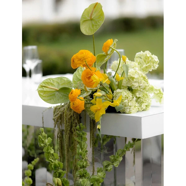 Стол-президиум Иллюжн - Фото 6