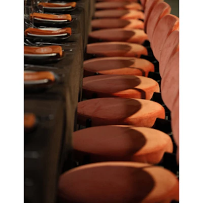 Стул Модерн Черный, Игривый Персик - изображение 3