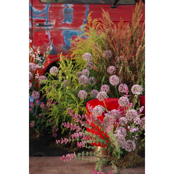 Пуф Цилиндр Золотой обод, Малиново-красный - Фото 5