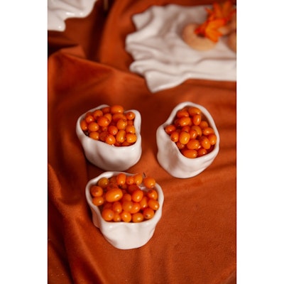 Соусник Морфе - изображение 4