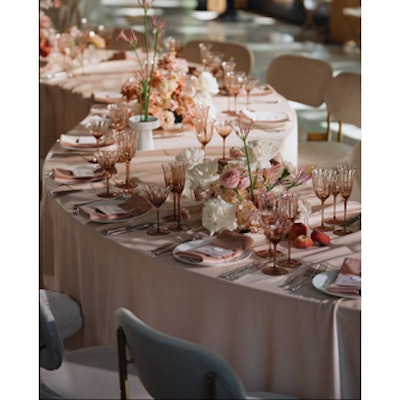 Шампанка Блуми Остеоспермум - изображение 5