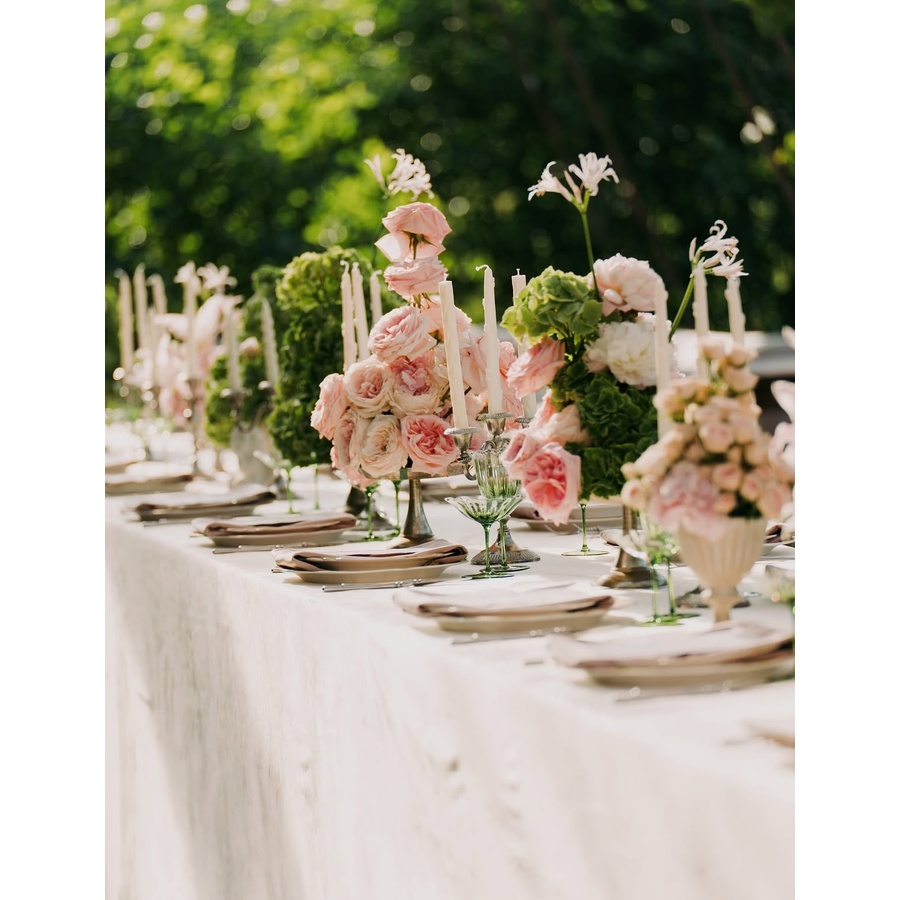 Креманка Блуми Молюцелла - Фото миниатюра 6