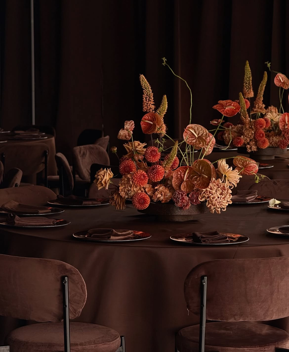 Стул Модерн Серебро, Шоко мокка