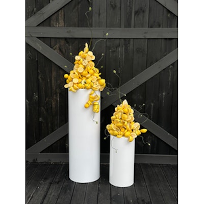 Тубус С, белый - изображение 4