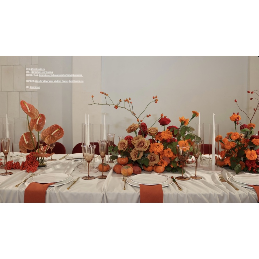 Шампанка Блуми Остеоспермум - Фото миниатюра 10