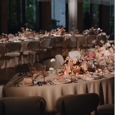 Шампанка Блуми Остеоспермум - изображение 9