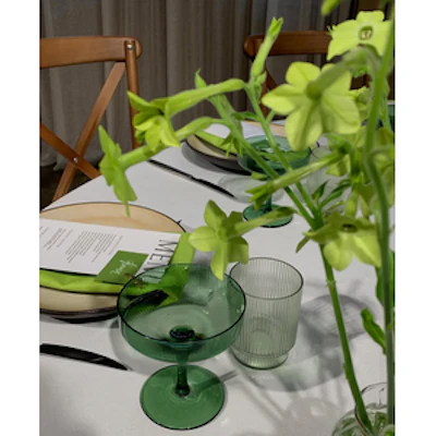 Салфетка из смесового льна, Лайм ВайкулЭ - изображение 6