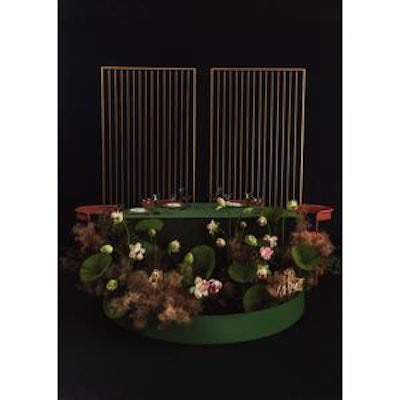 Стул Колори, Тыквенный тарт + Терракотовый - изображение 5