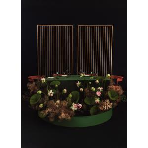 Стул Колори, Тыквенный тарт + Терракотовый - Фото 6