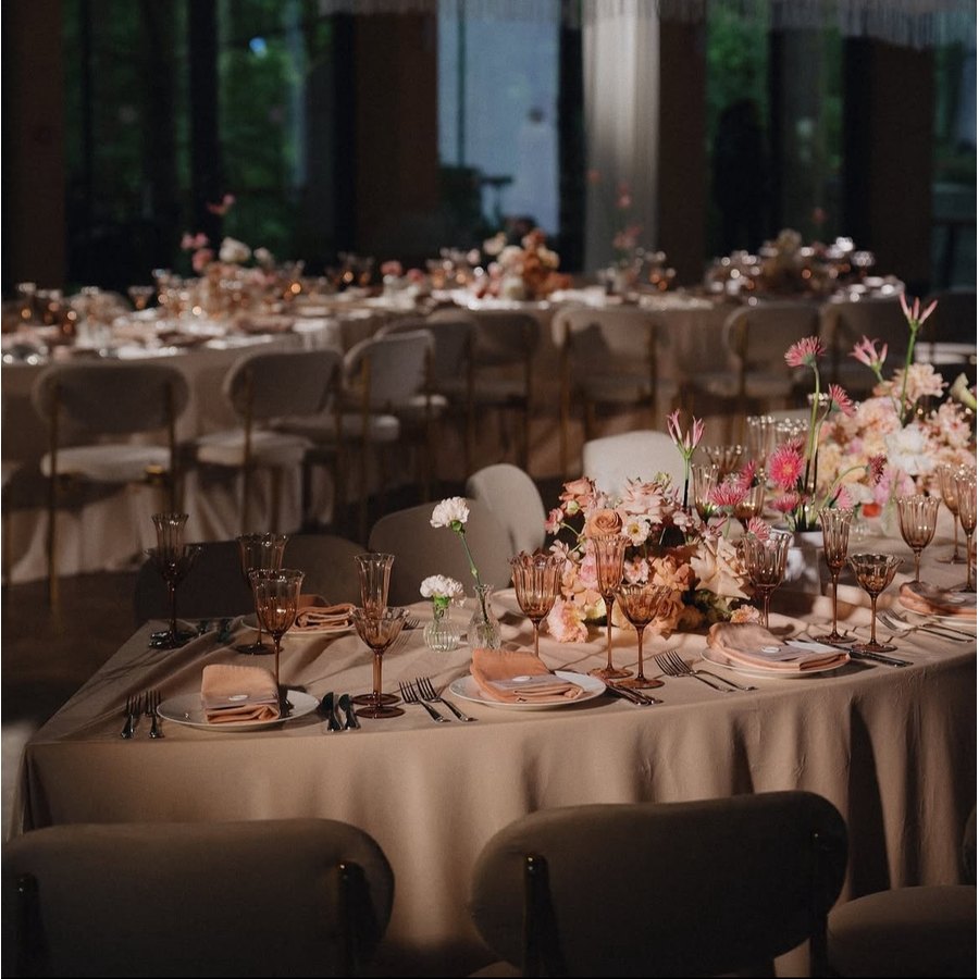 Шампанка Блуми Остеоспермум - Фото миниатюра 9