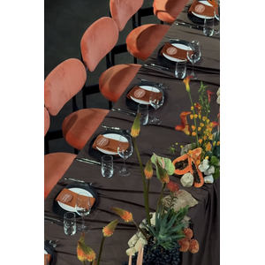 Стул Модерн Черный, Игривый Персик - Фото 5