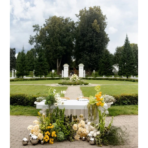 Стол-президиум Иллюжн - Фото 5