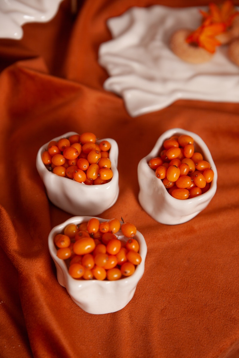 Соусник Морфе