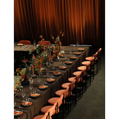 Стул Модерн Черный, Игривый Персик - изображение 4