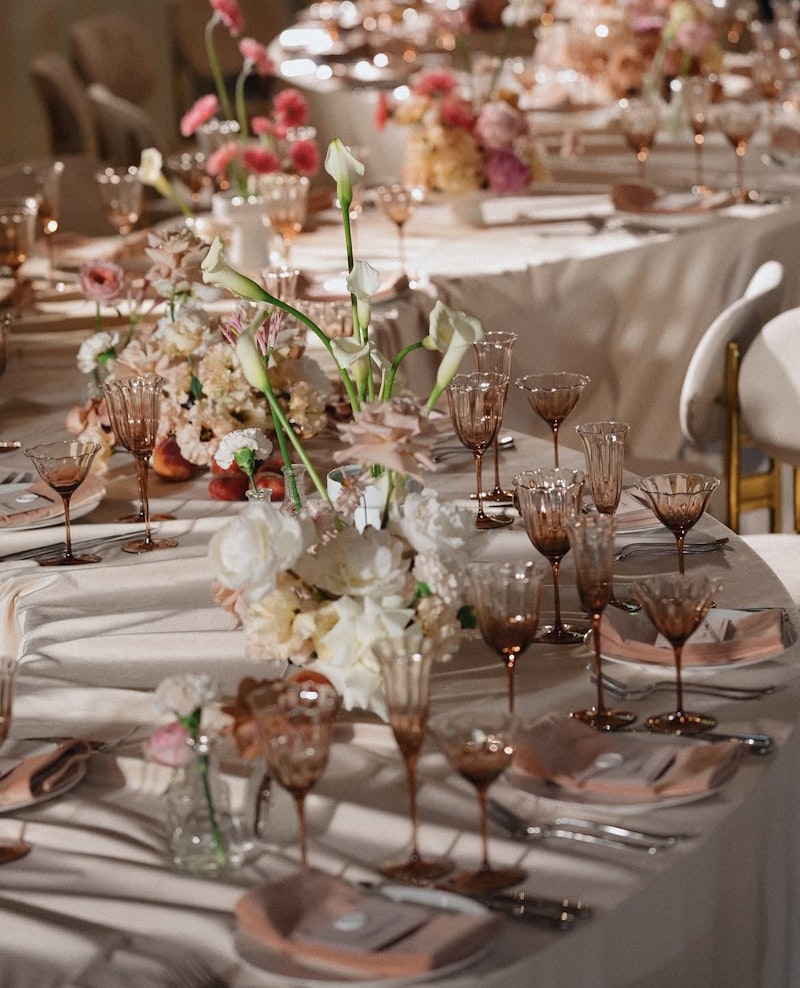 Шампанка Блуми Остеоспермум