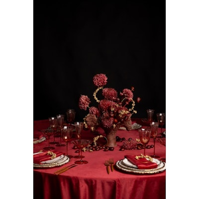 Креманка Блуми Остеоспермум - изображение 4