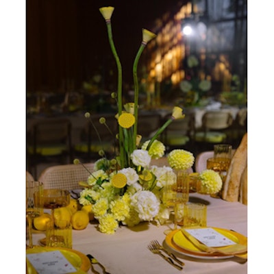 Креманка Сквош Цвета утренней звезды - изображение 5