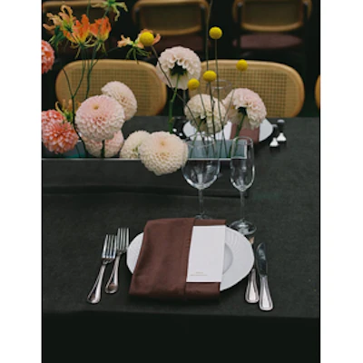 Салфетка велюр, шоколад (Шоко мокка) - изображение 5