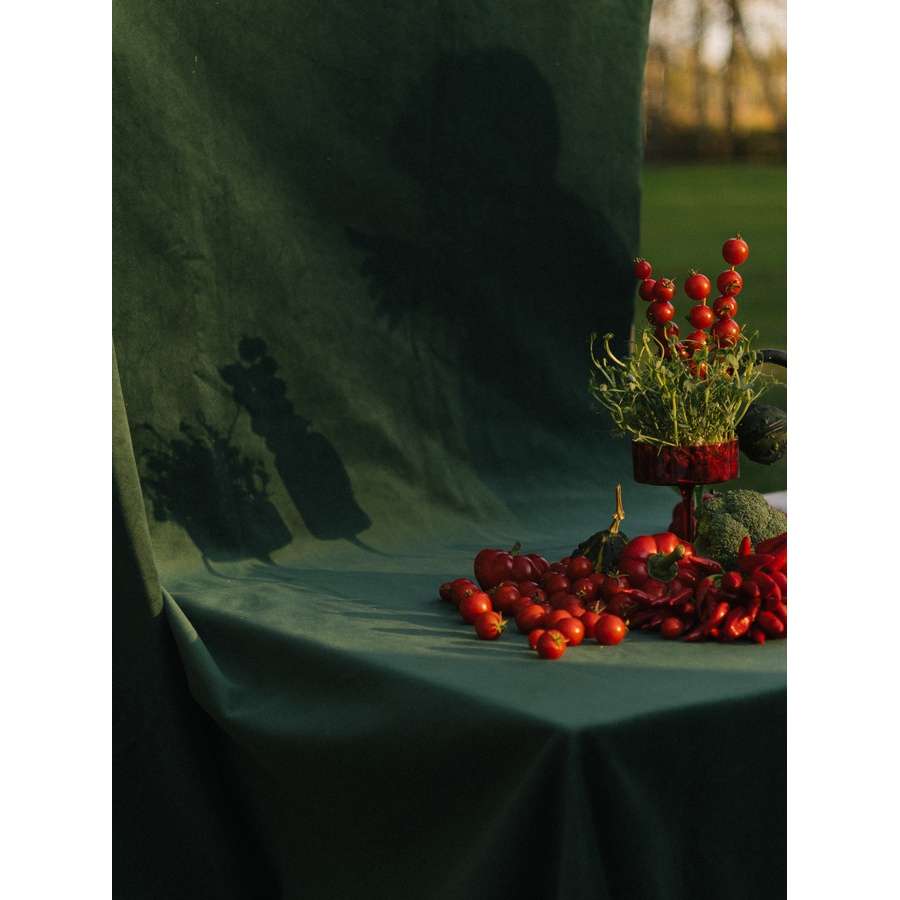 Креманка Сквош Пламя в объятьях - Фото миниатюра 9