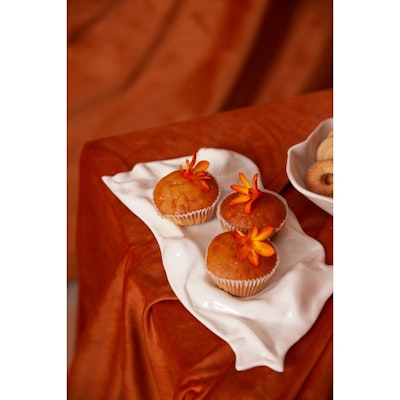 Сервировочное плато Бланкет  М - изображение 4