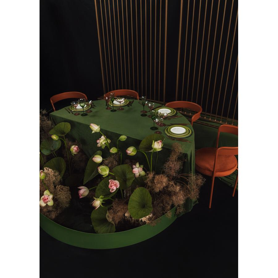 Шампанка Блуми Молюцелла - Фото миниатюра 10