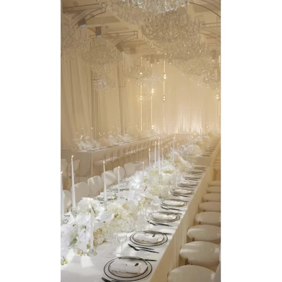 Стул Модерн Золото, Тедди - изображение 9