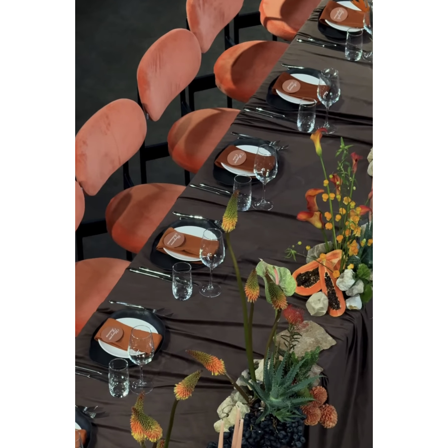 Стул Модерн Черный, Игривый Персик - Фото миниатюра 5