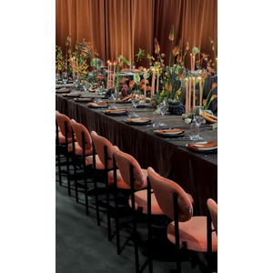 Стул Модерн Черный, Игривый Персик - Фото 6