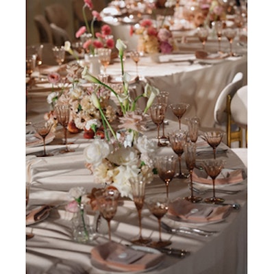 Шампанка Блуми Остеоспермум - изображение 8