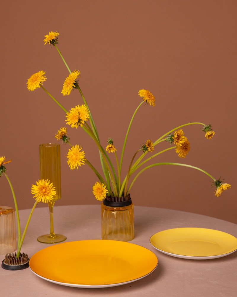 Тарелка ПИНТОН Цимонная Ледра М