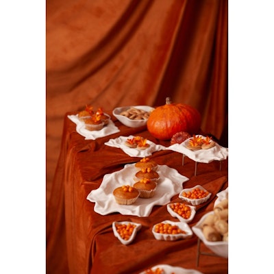 Сервировочное плато Бланкет Л - изображение 4