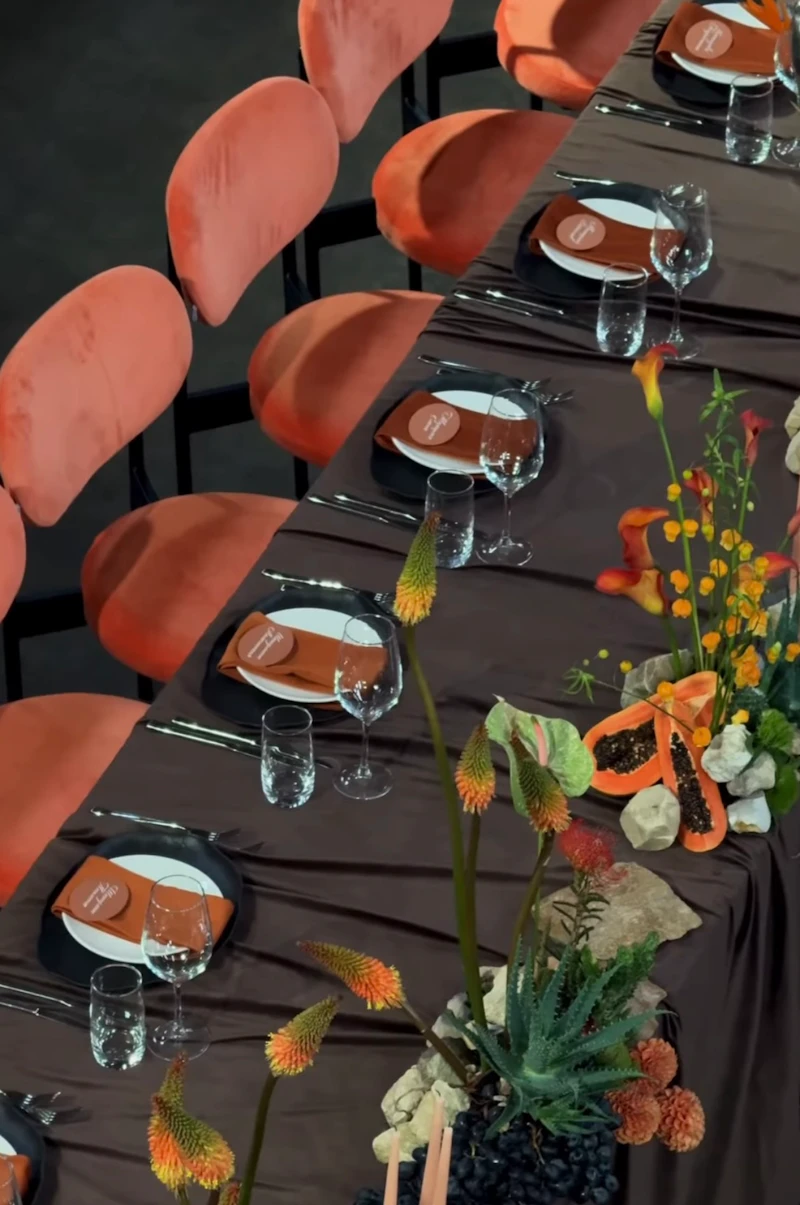 Стул Модерн Черный, Игривый Персик