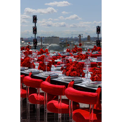 
Стул Токио алый - изображение 4