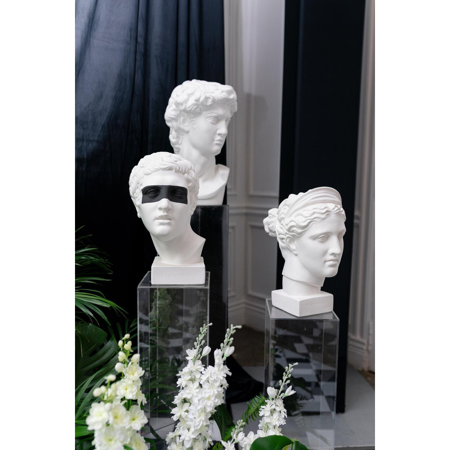 Бюст Венера Милосская - Фото миниатюра 3