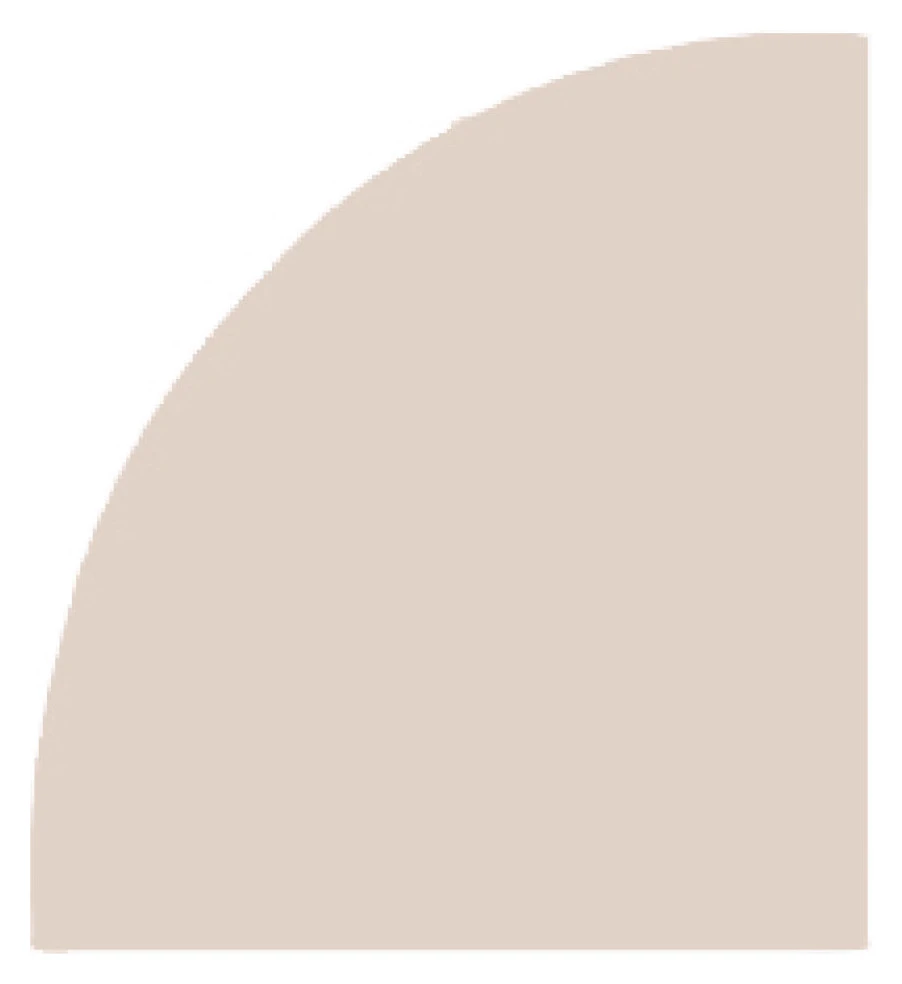 Задник "Гула 110"