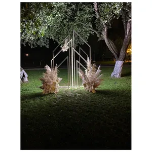 Арка "Тео 280х80 левая" - Фото 5